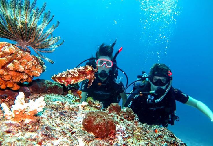 Tioman Island
